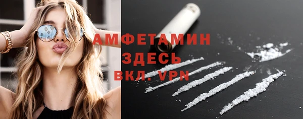 сатива Новокубанск
