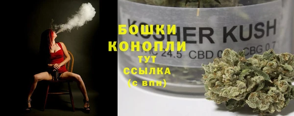 a pvp Новодвинск