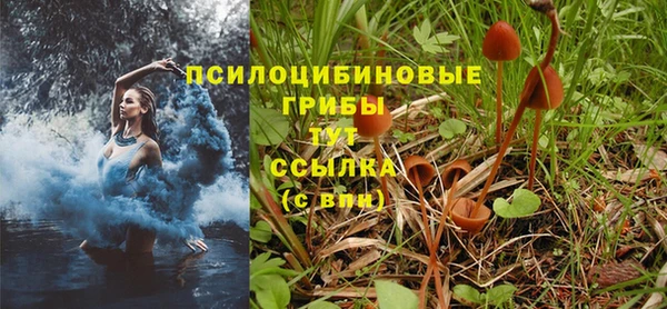 мескалин Нефтегорск