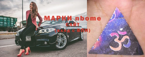 сатива Новокубанск