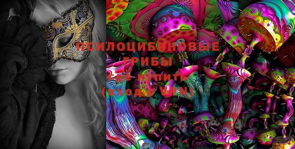 марки nbome Нефтекумск