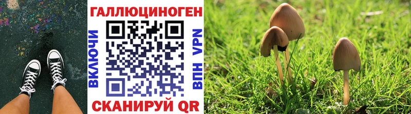 Галлюциногенные грибы MAGIC MUSHROOMS  где продают наркотики  Татарск 
