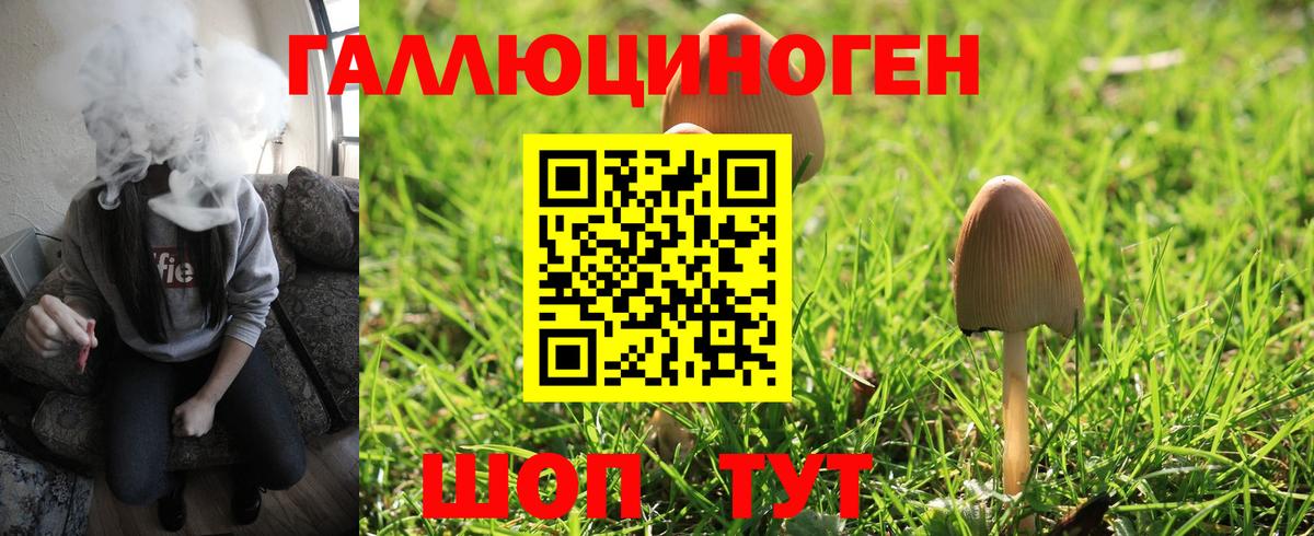 Галлюциногенные грибы мухоморы Татарск