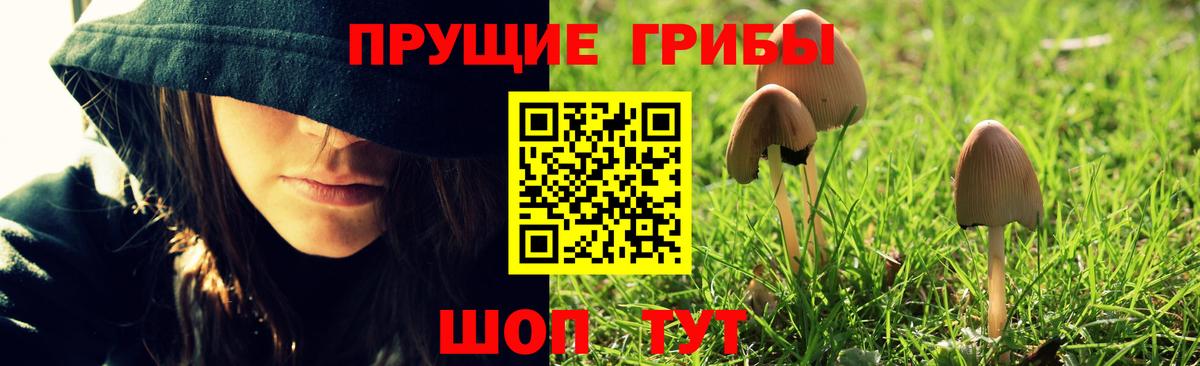 Псилоцибиновые грибы MAGIC MUSHROOMS Татарск