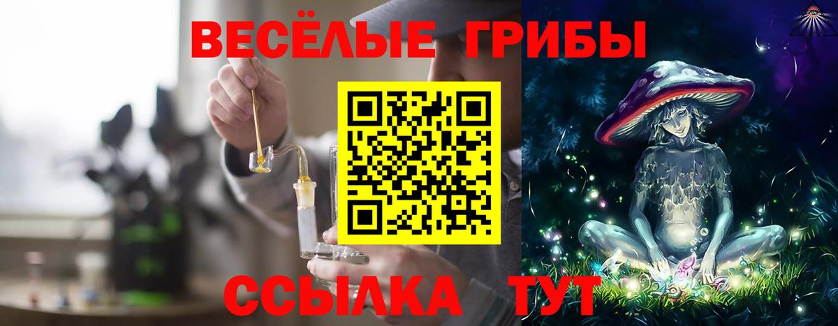 Галлюциногенные грибы Cubensis  Татарск 