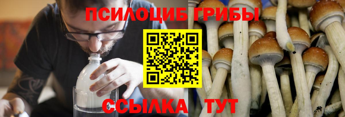 Галлюциногенные грибы ЛСД  сколько стоит  Татарск  Вход с VPN 